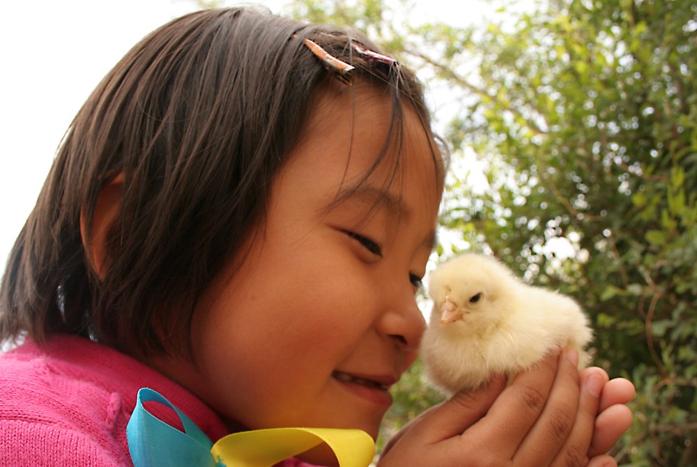 Photograph by Алтынбек Қартабай