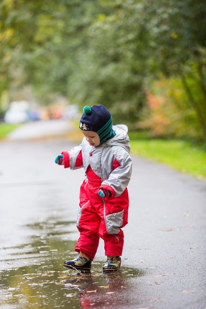 Photograph by Надежда Заломаева