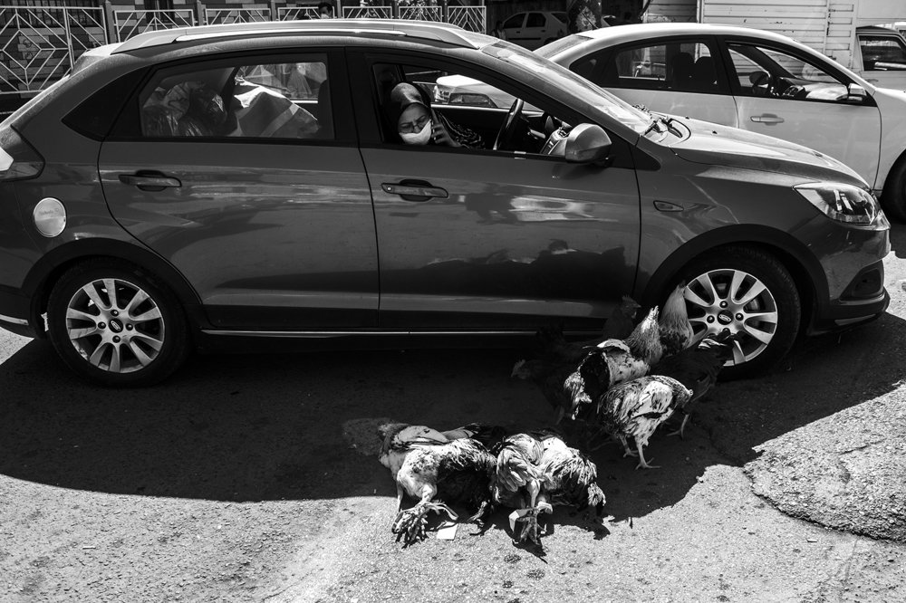 Photograph by Nasrin Navayi