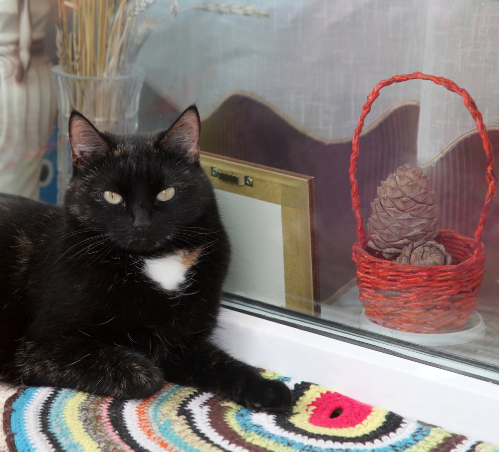 Photograph by Мария Самоловова