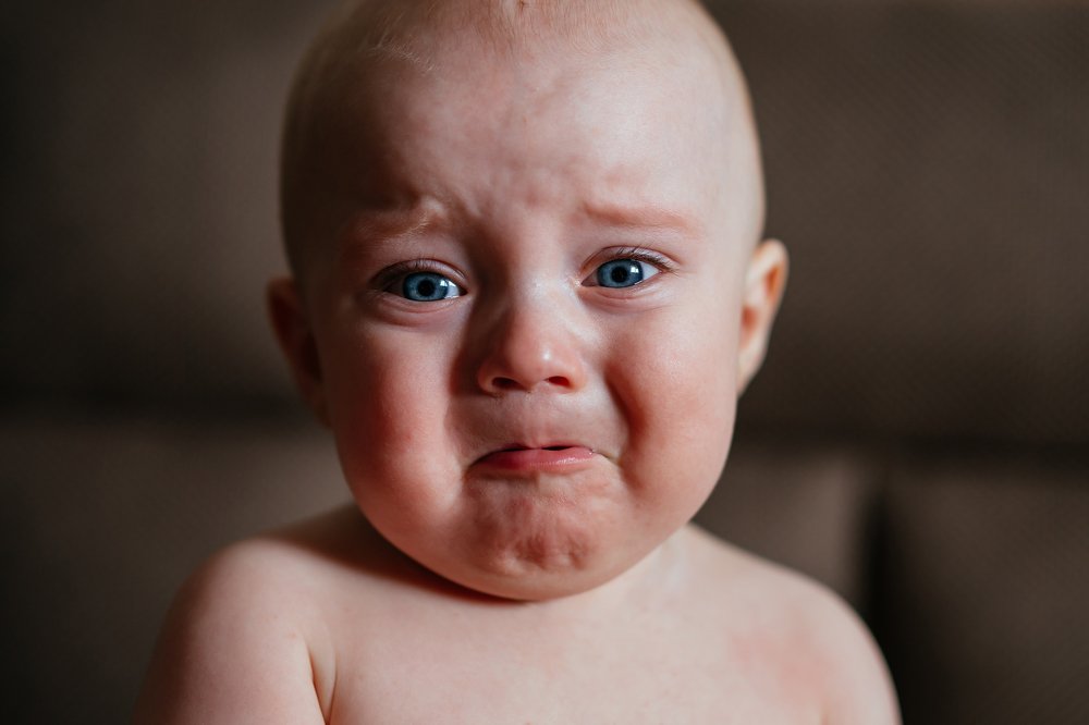 Photograph by Елена Молодзяновская