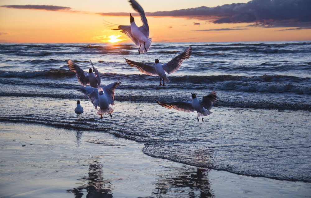 Прыжок в небо.