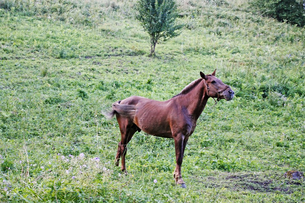 Photograph by Мария Самоловова