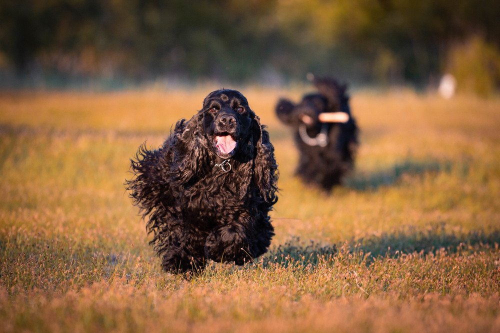 Photograph by Наталья Степанова