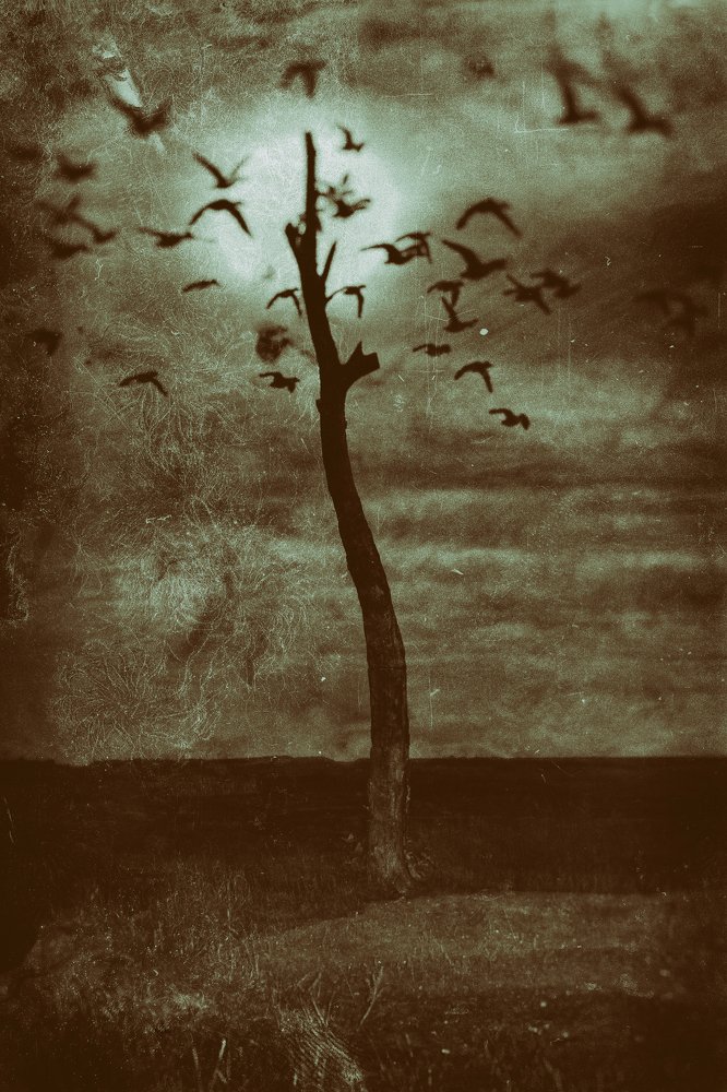 Photograph by Александр Малютин