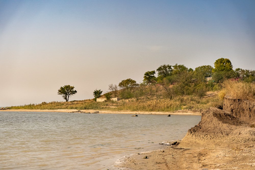 Фотография автора Ольга Осипова