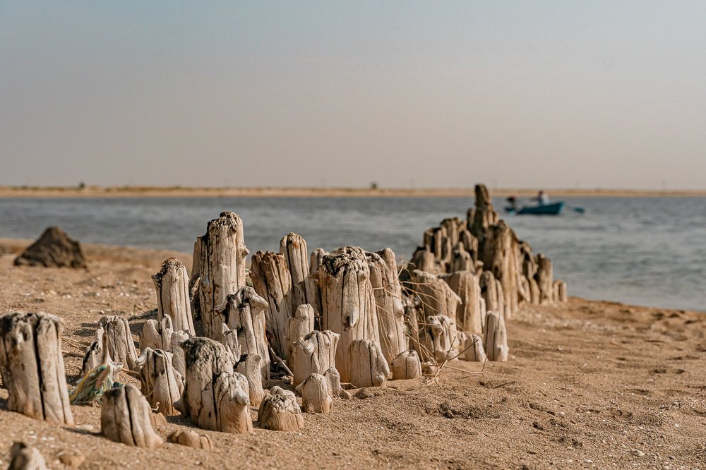 Фотография автора Ольга Осипова