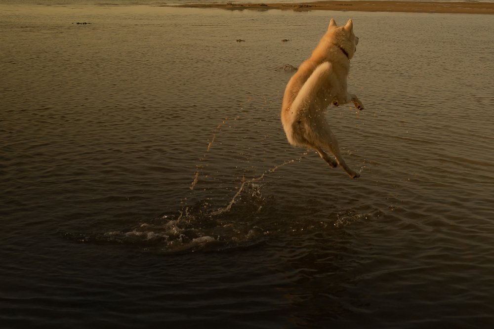 Фотография автора Ольга Осипова
