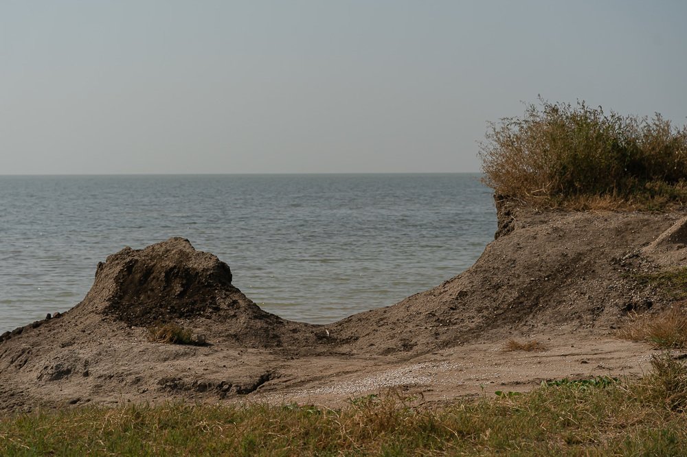 Фотография автора Ольга Осипова