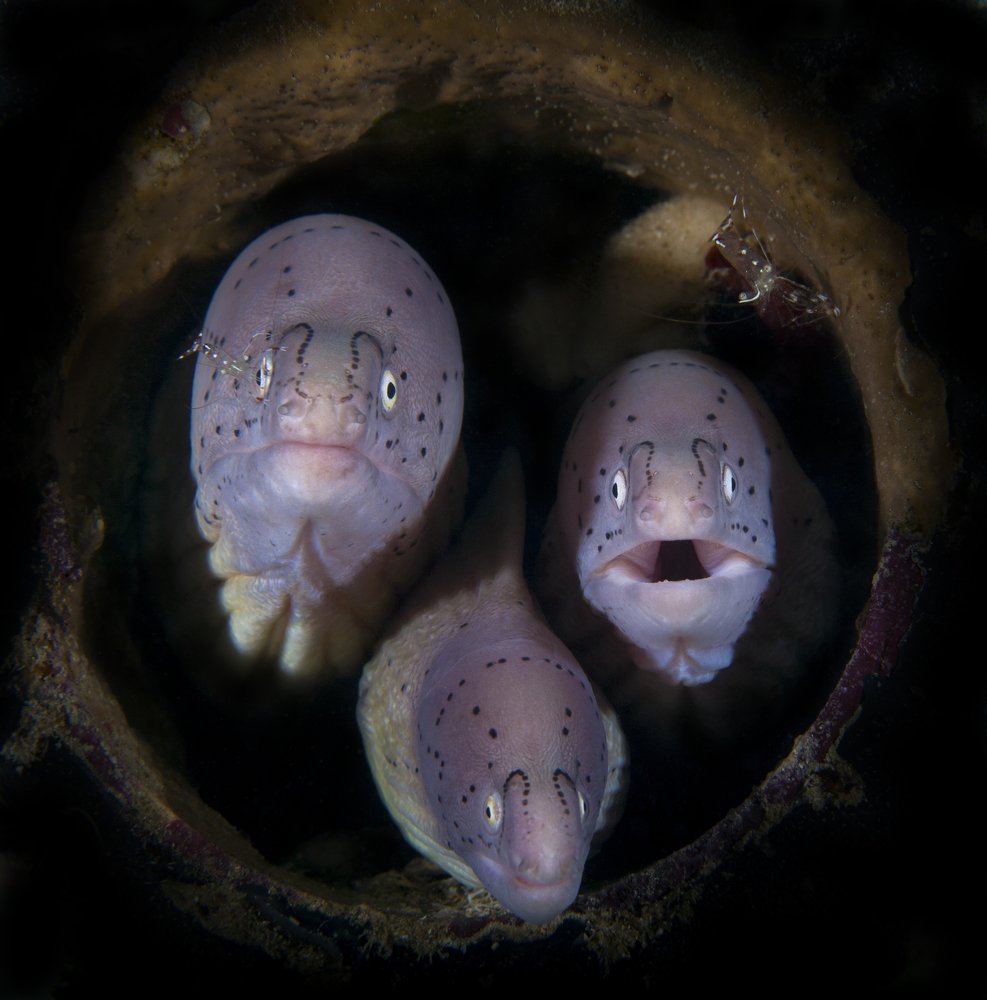 Photograph by Юрий Перевозников