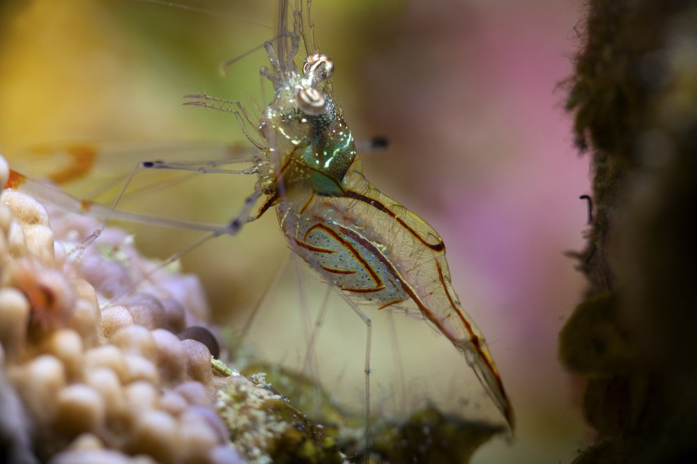 Photograph by Юрий Перевозников