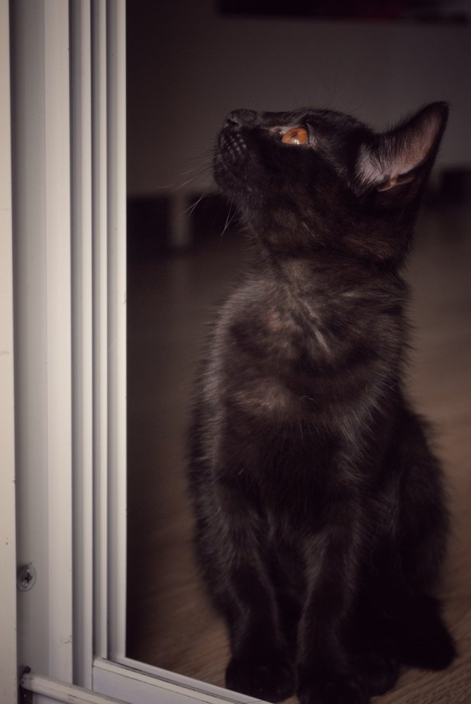 Photograph by Алина