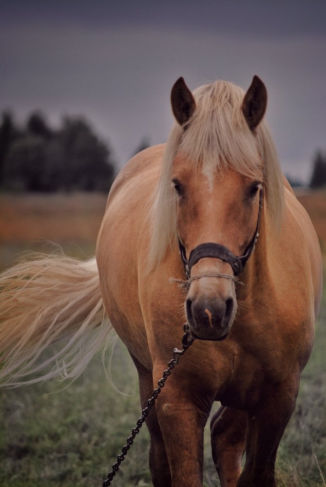 Photograph by Алина