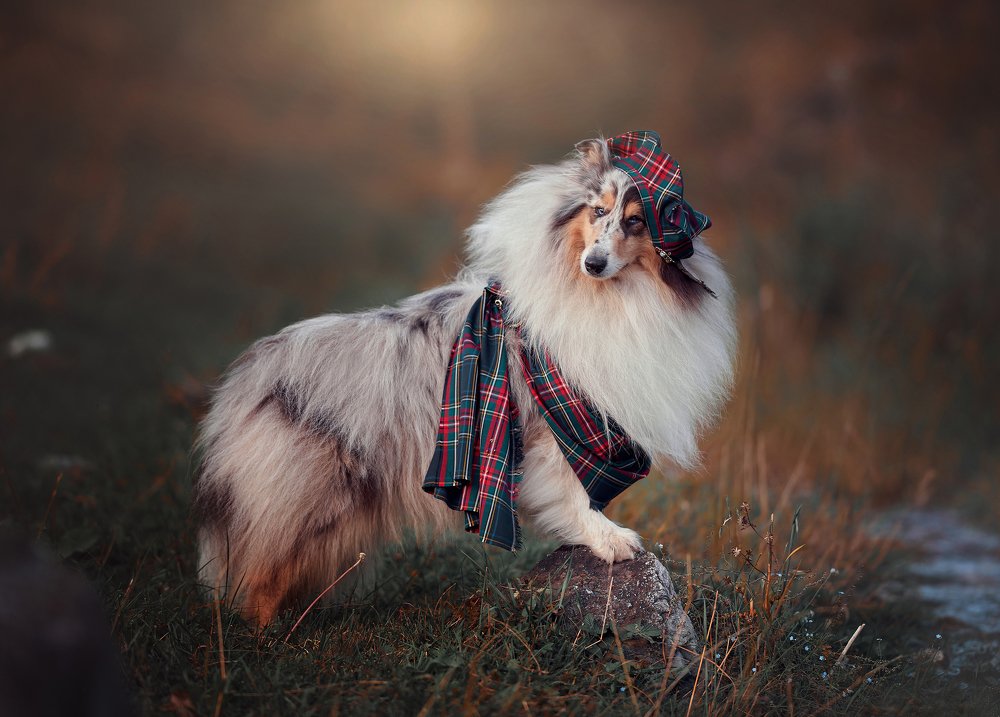 Photograph by Лариса Кадина