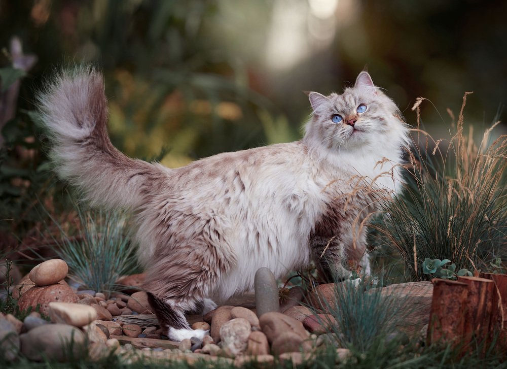 Photograph by Лариса Кадина