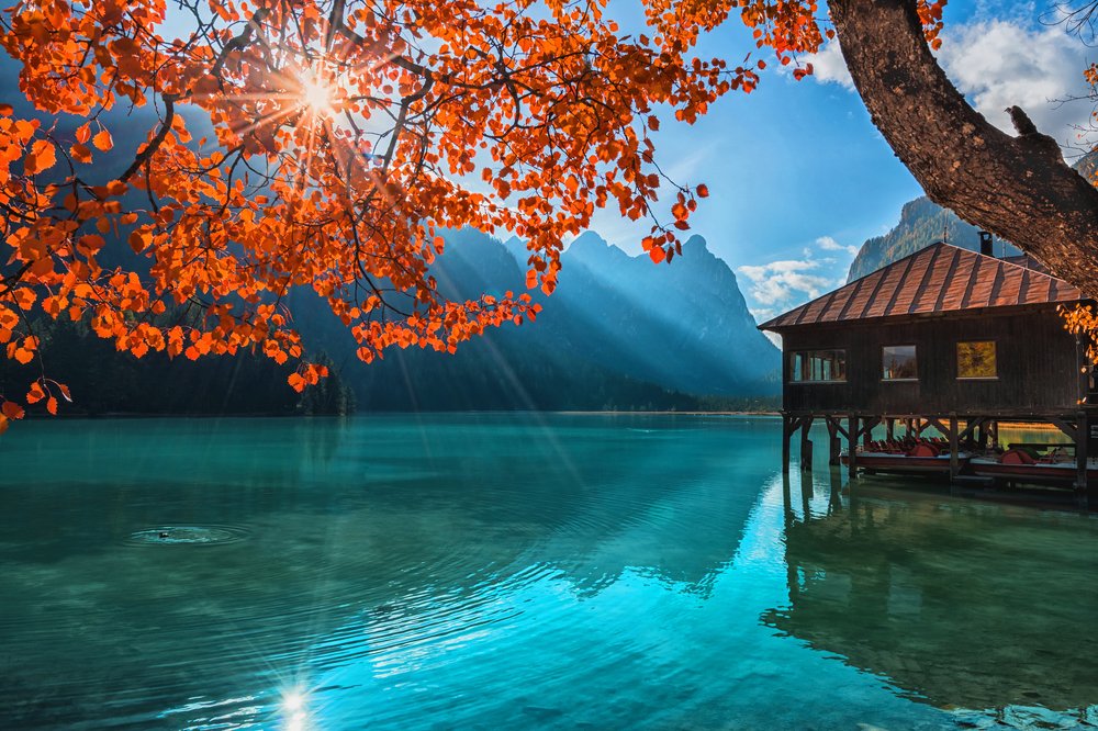 Photograph by Лариса Николаевна Дука