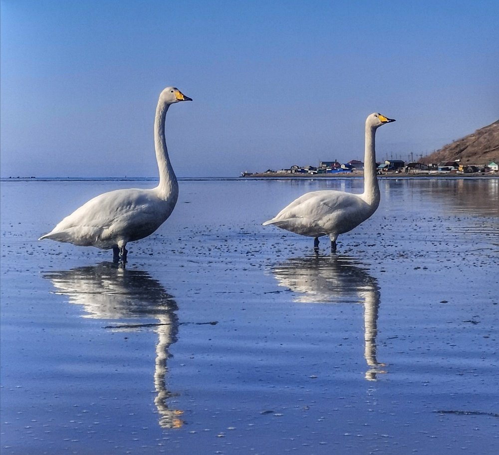 Photograph by Виолетта Беккер