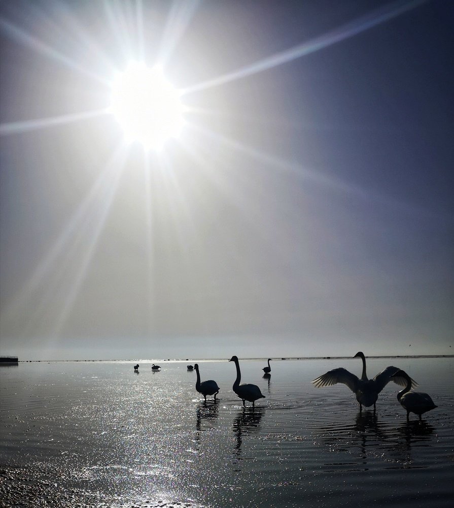 Photograph by Виолетта Беккер