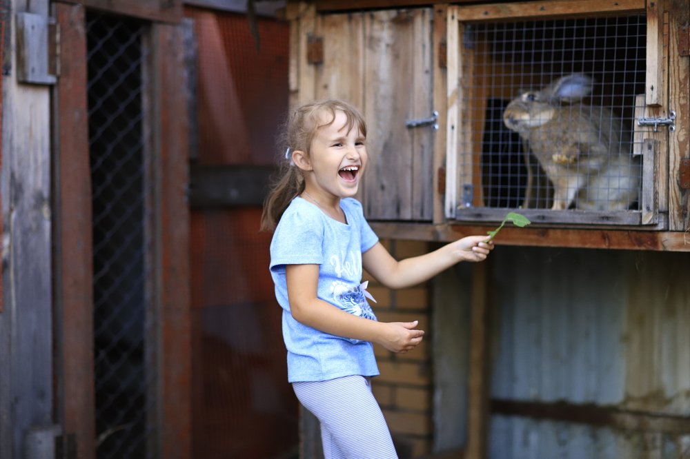 Фотография автора Георгий Петров