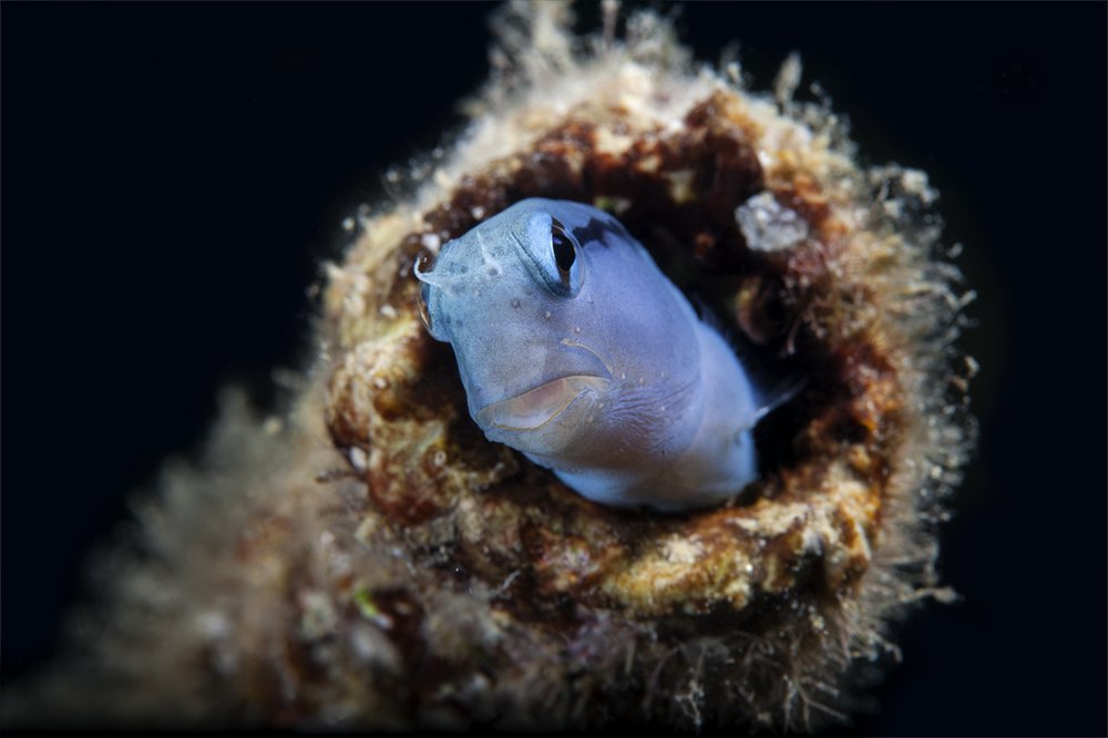 Photograph by Юрий Перевозников