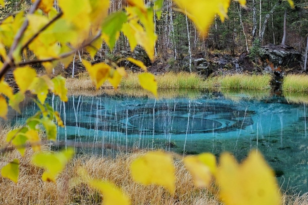 Photograph by Евгений Андреев