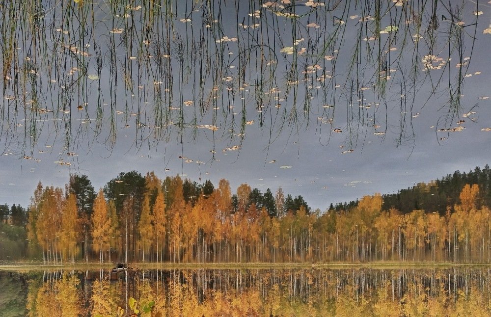 Photograph by Евгений Андреев