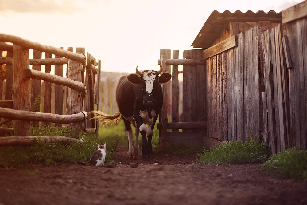 Photograph by Natalia Badyul