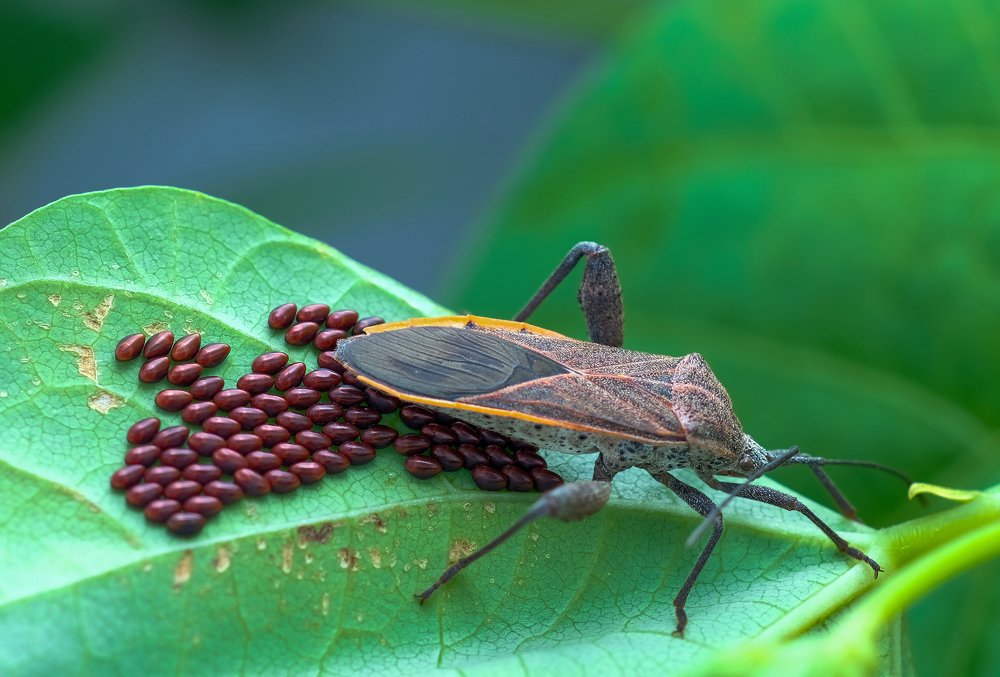 Photograph by Chuah Christopher