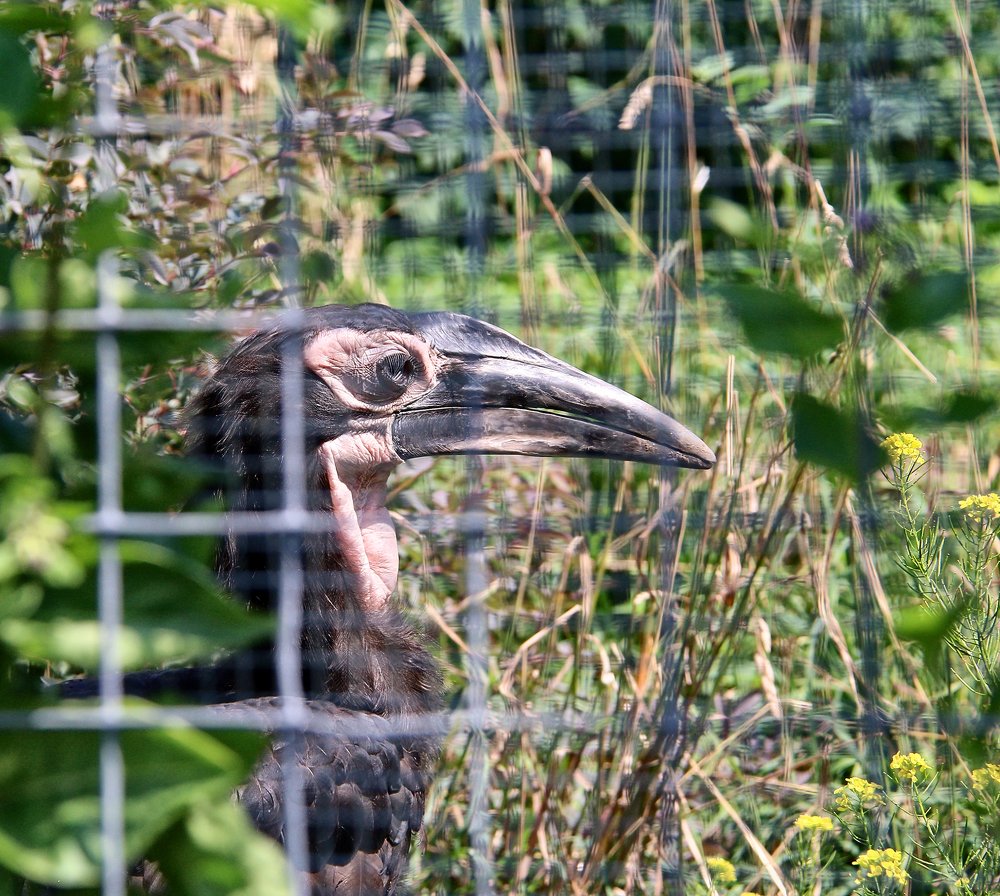 Фотография автора Елена Лаврова