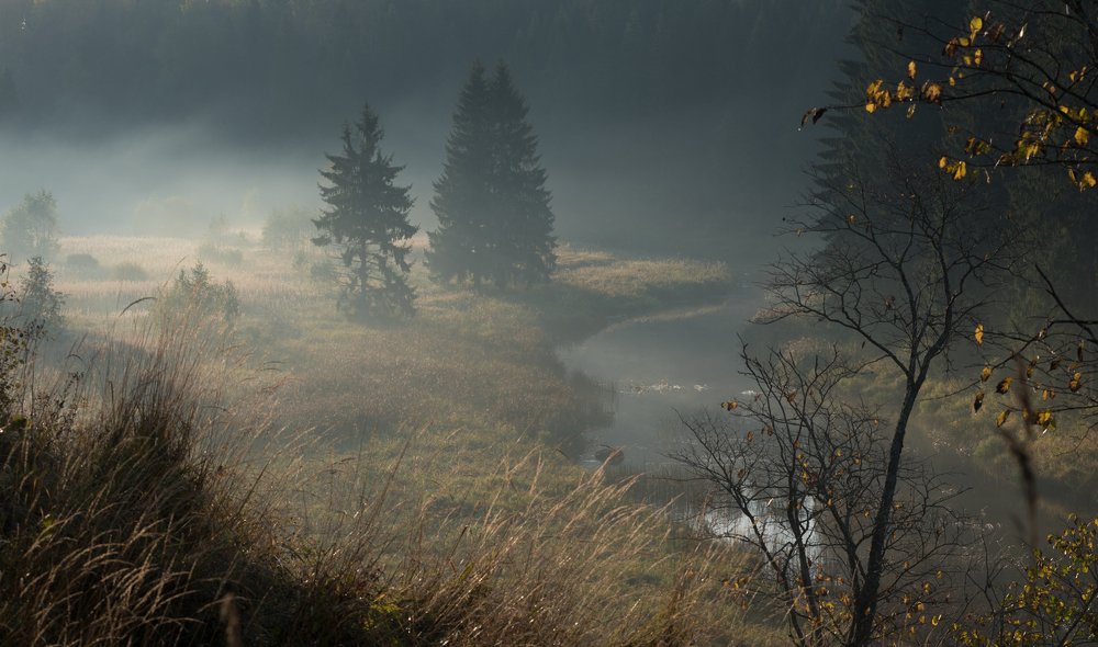 Photograph by Роман Фабричный