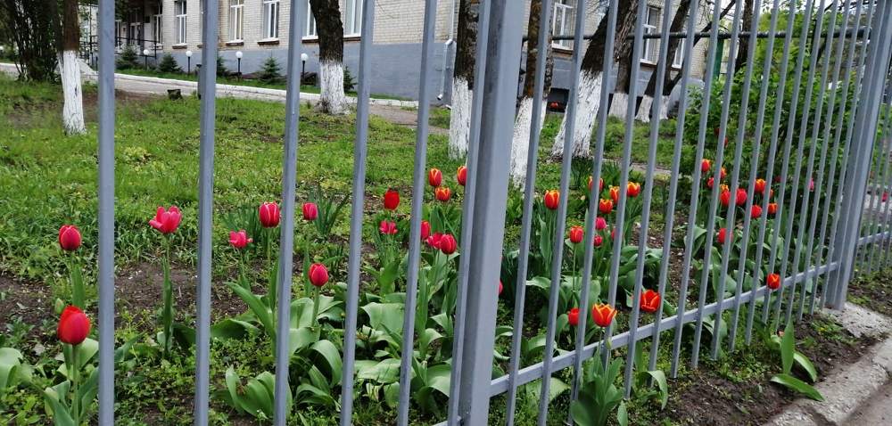 Photograph by Мила