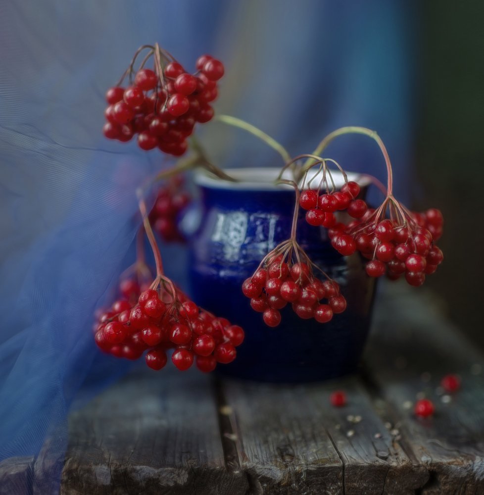 Photograph by Svoboda Andreeva