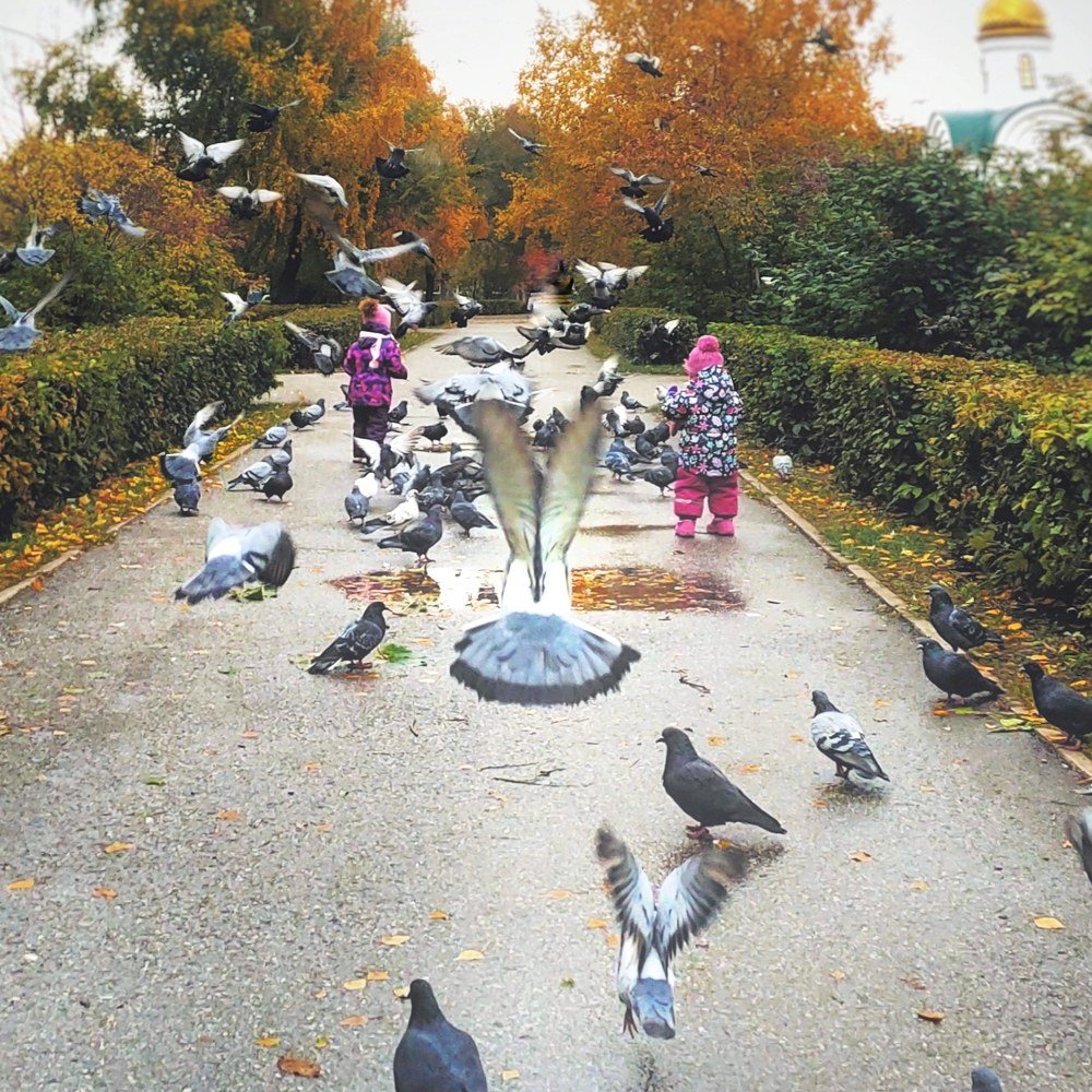Photograph by Екатерина Саввина