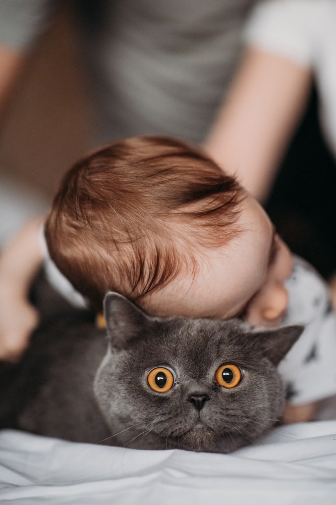 Photograph by Анна Белка