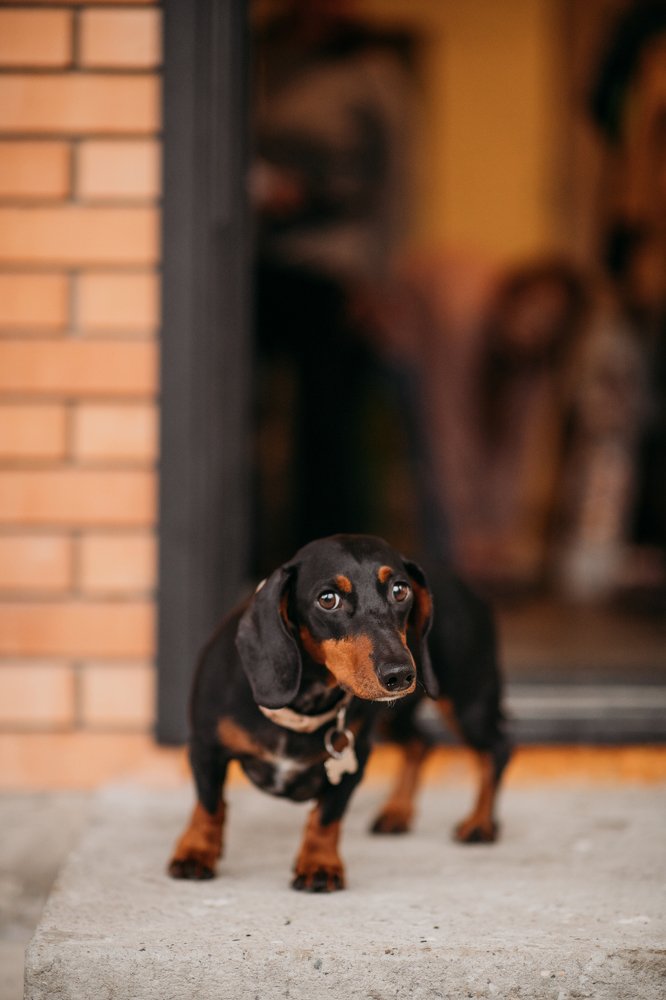 Photograph by Анна Белка