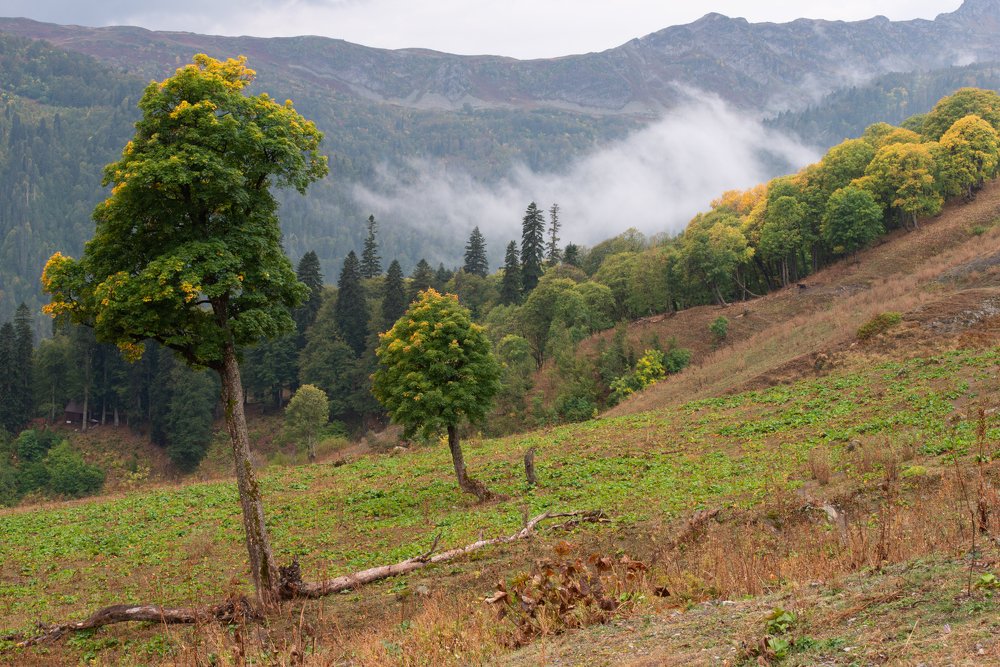 Photograph by Антон Герасимов