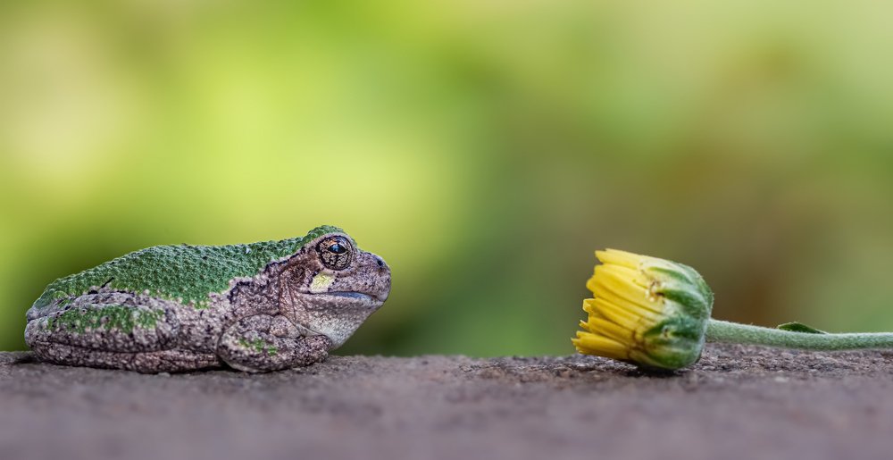 To love you, kiss you, eat you