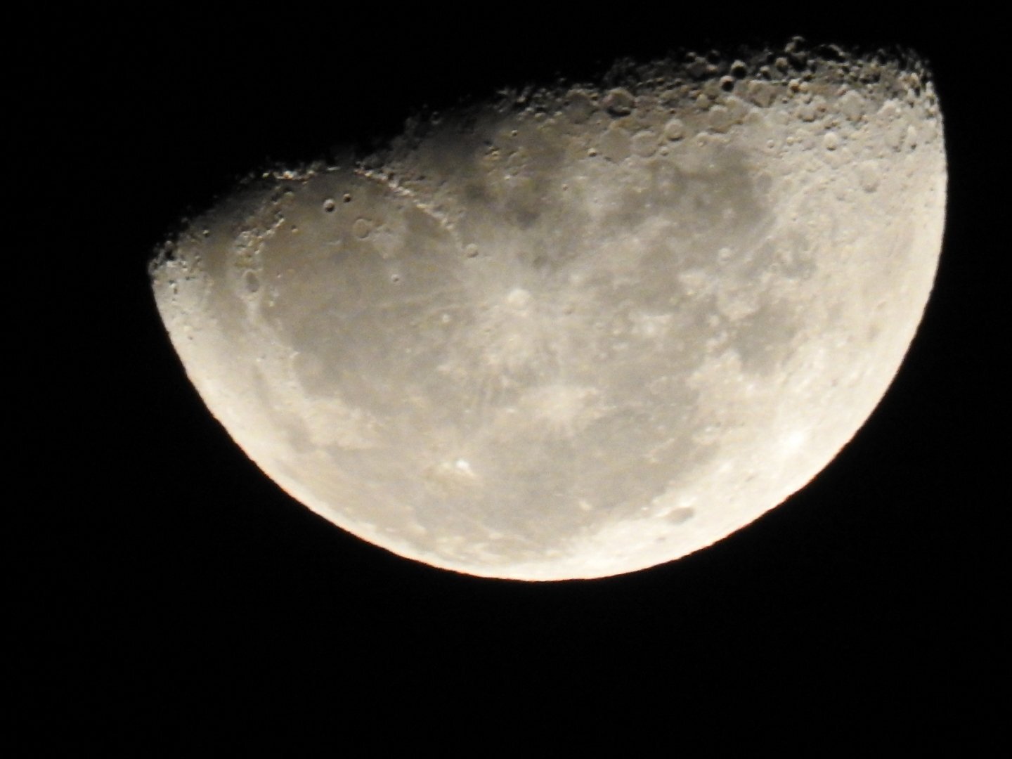 Photo #5034751