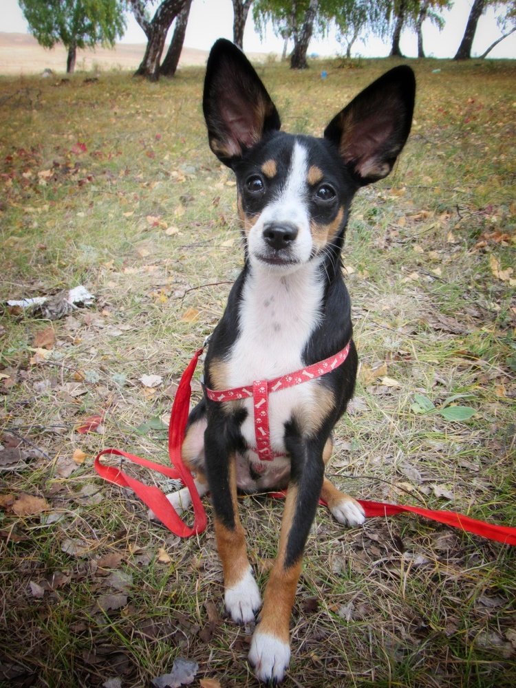 Photograph by Марина Савченко