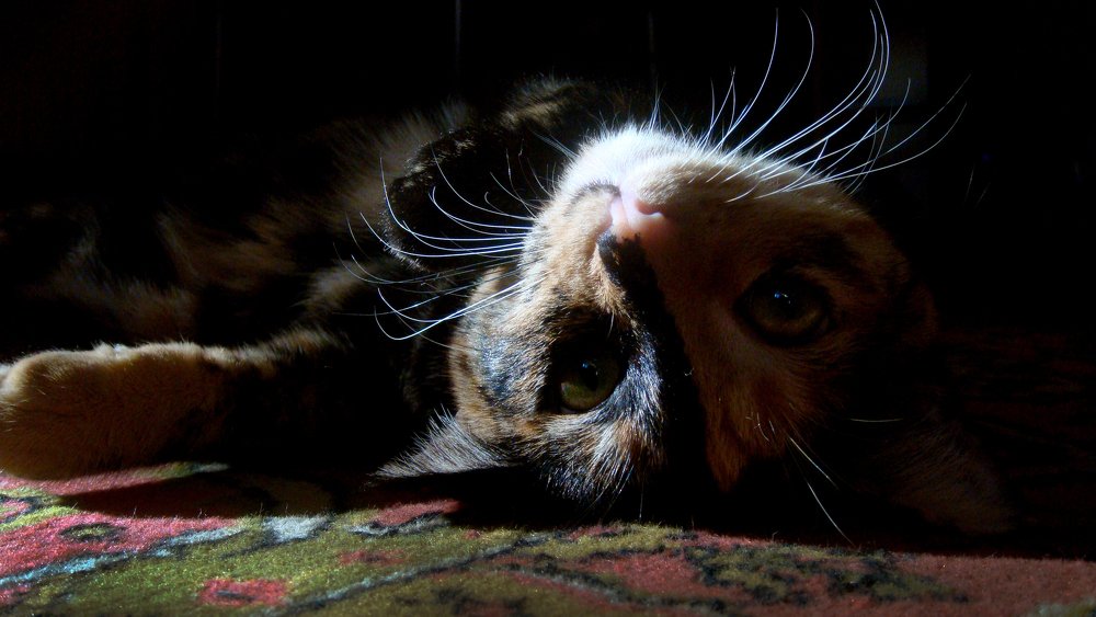 Photograph by Tatevik Tananyan