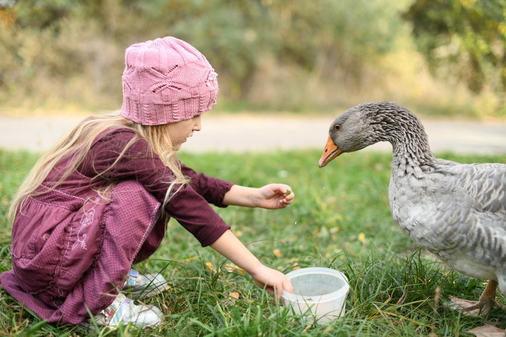 Photograph by Любовь Онщенко