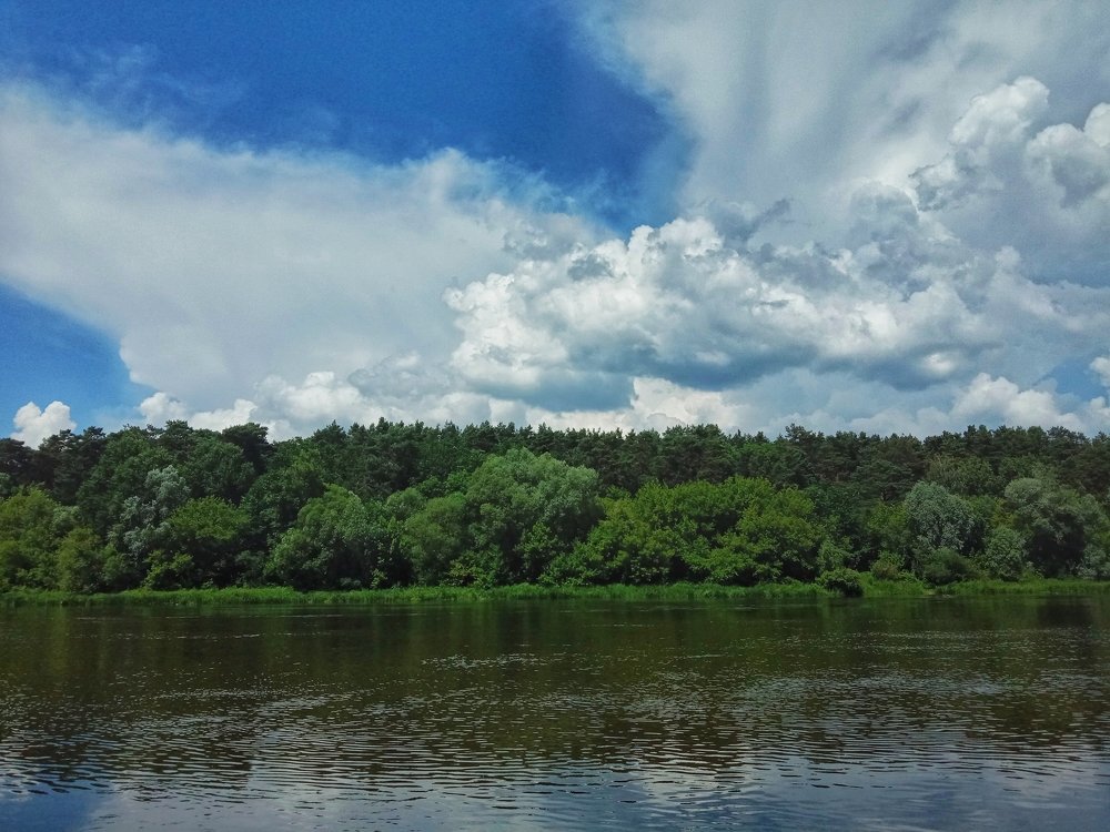 Photo #5034890