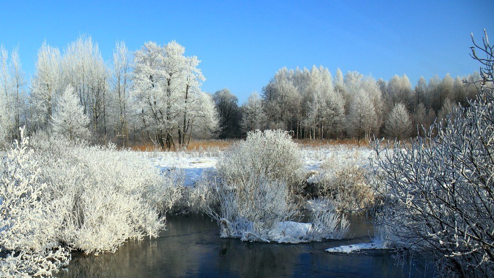 Начало зимы