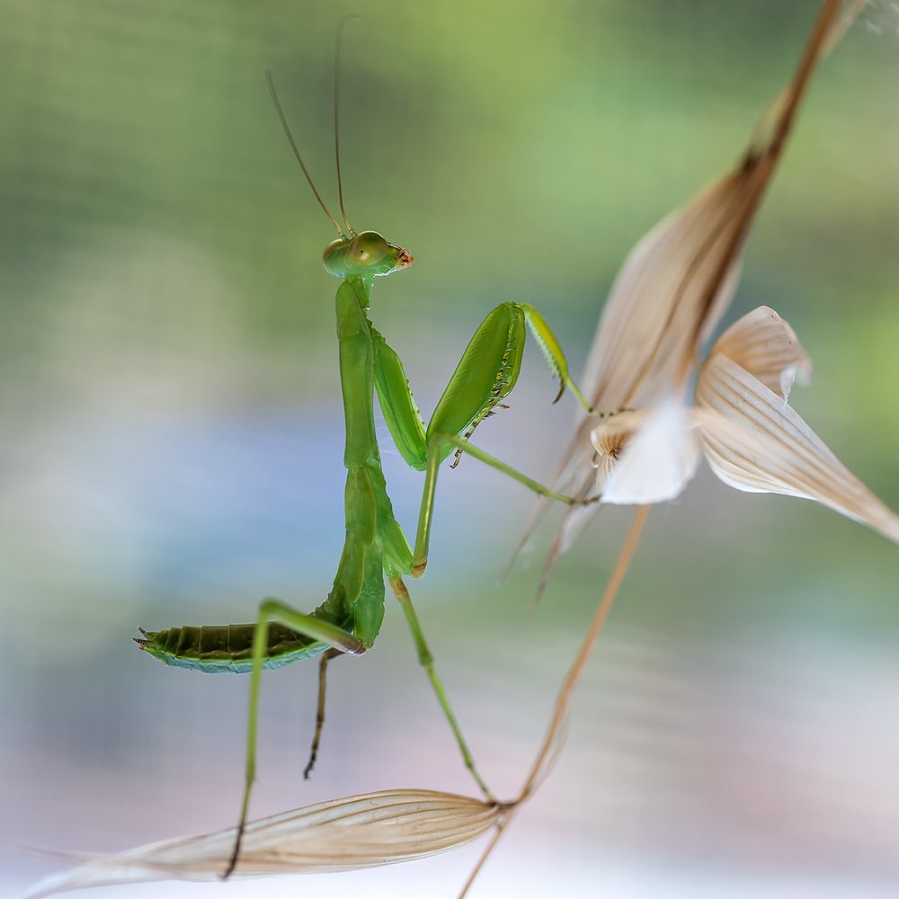 Photograph by Александр Земляной