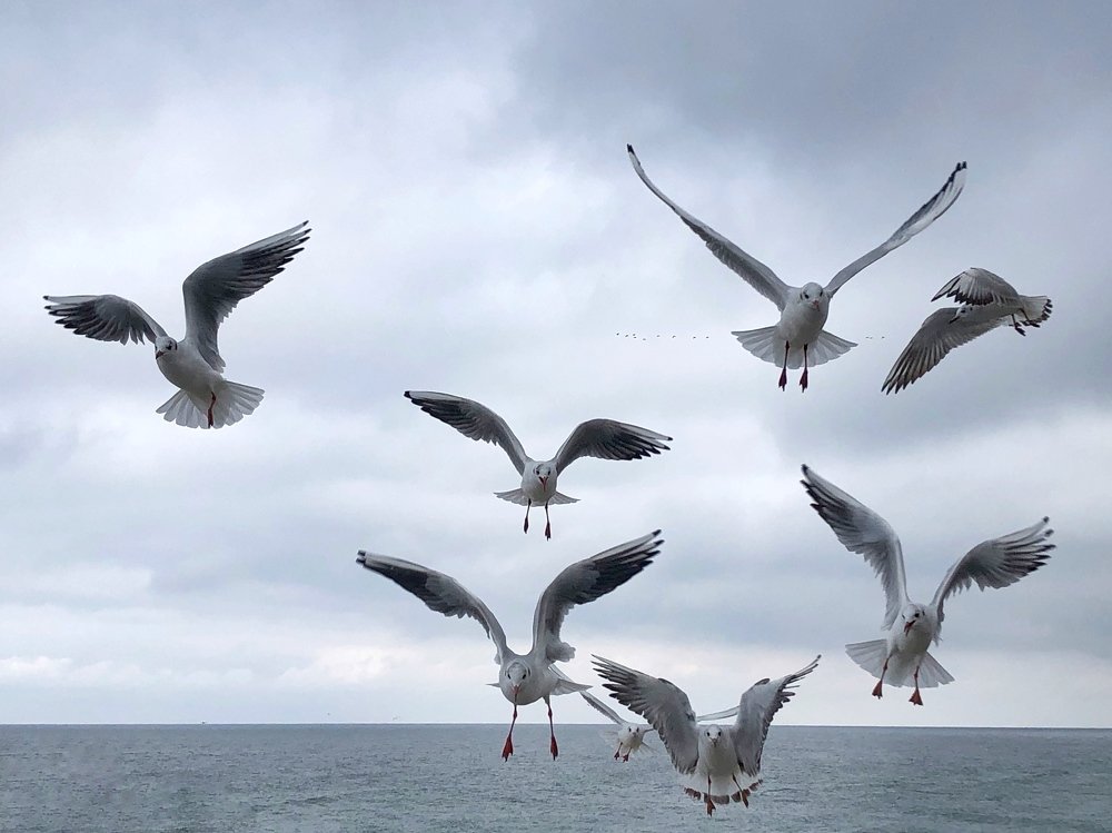 Photograph by Ирина Леонова