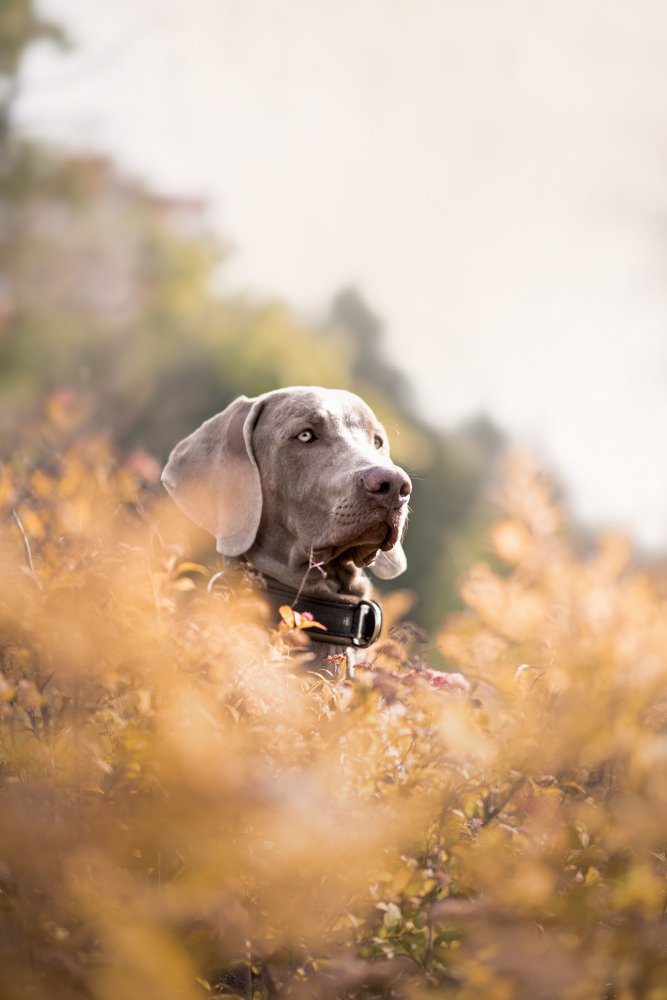 Photograph by Анастасия Цыганкова