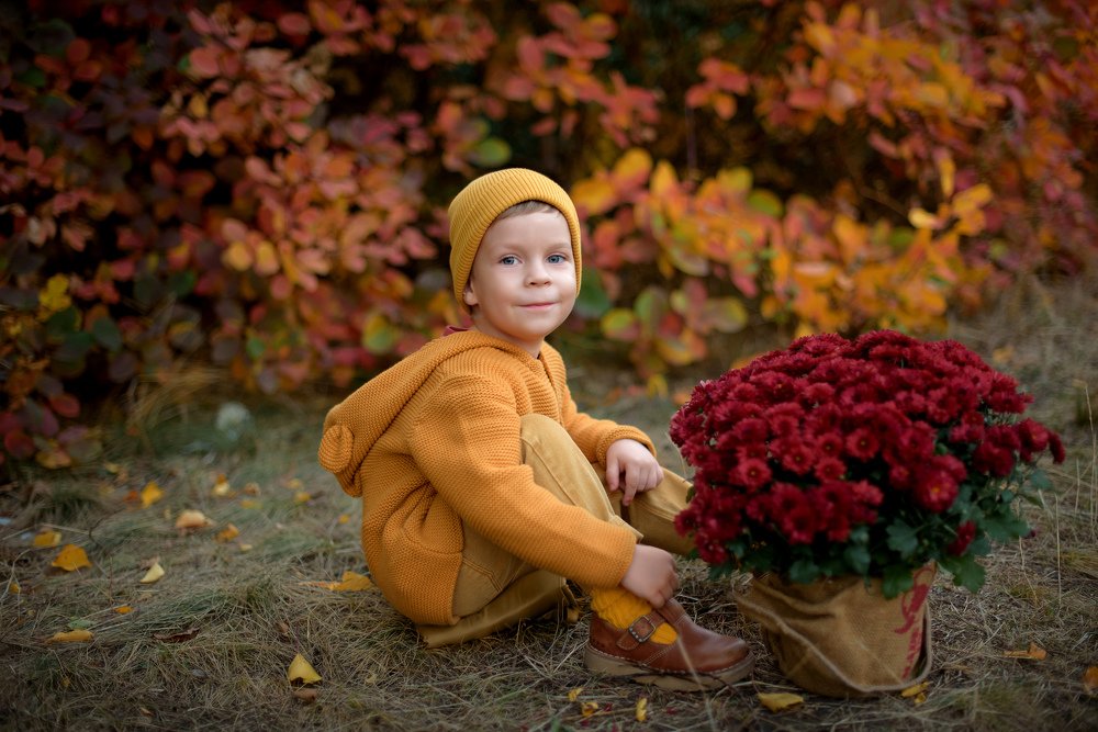 Фотография автора Алена Наливкина