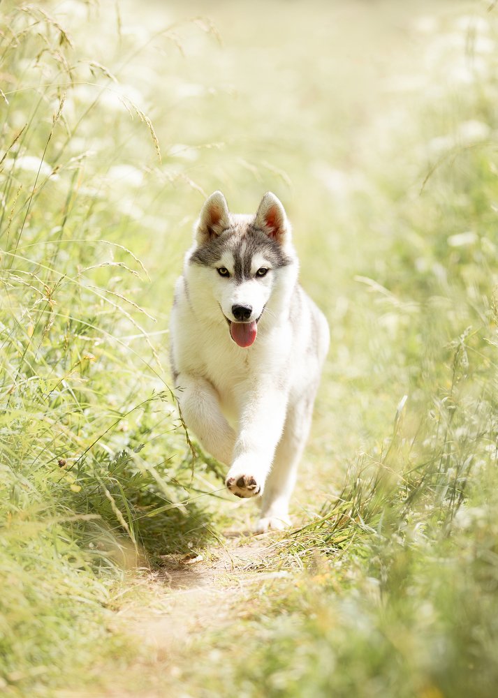 Photograph by Dasha Zueva