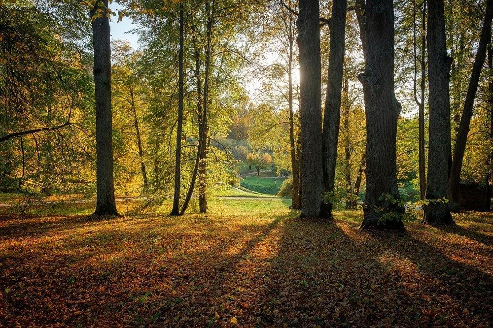 Photograph by Антон Каменский