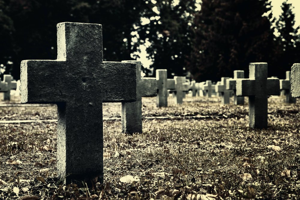 Фотография автора Александр Горовцов